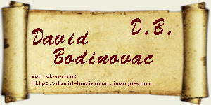 David Bodinovac vizit kartica